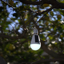 Load image into Gallery viewer, EternaLight